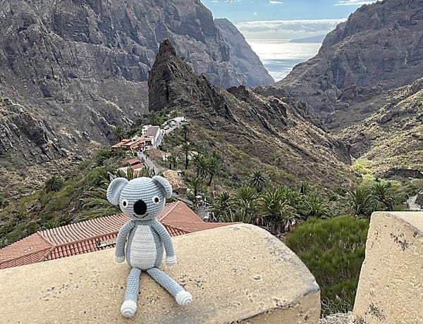 Kuscheltier Koala COCO vor Masca-Schlucht auf Teneriffa